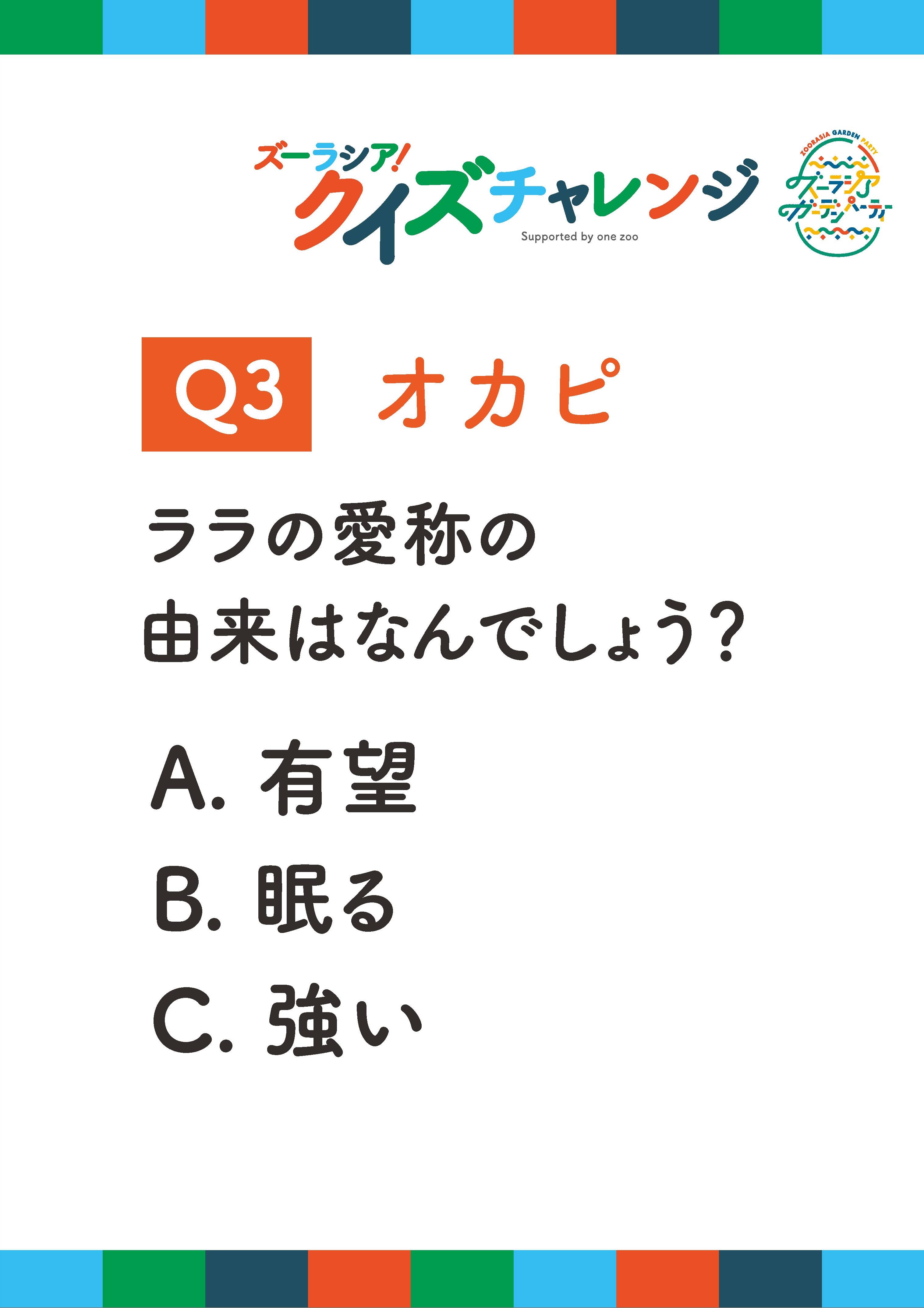 クイズチャレンジ_問題_ページ_3.jpg