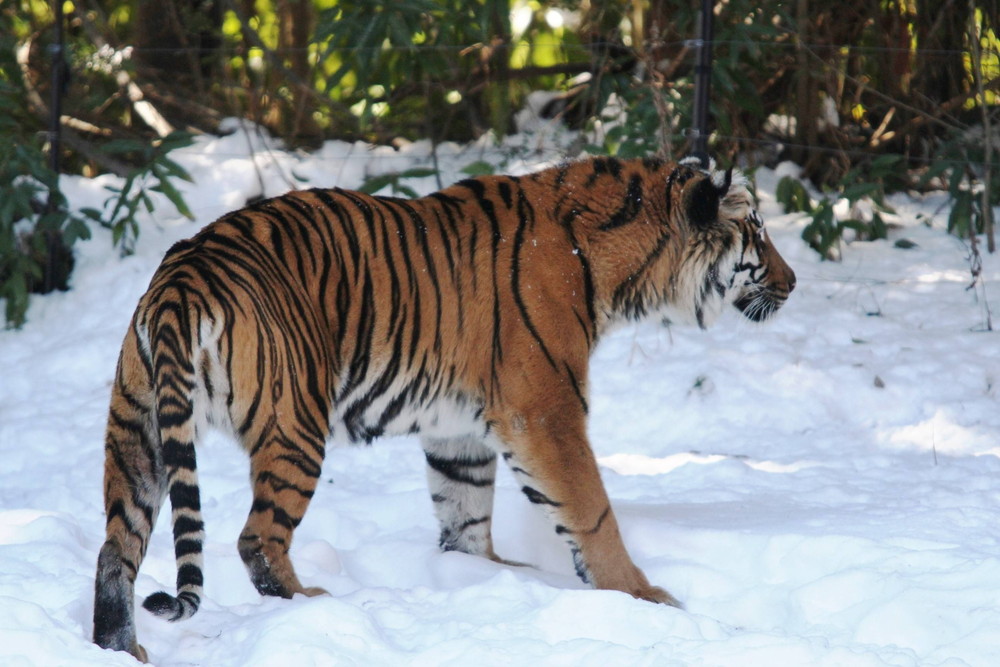 IMG_7214 - コピー.jpg