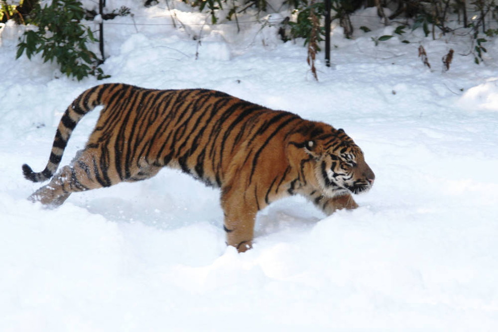 IMG_6719 - コピー.jpg