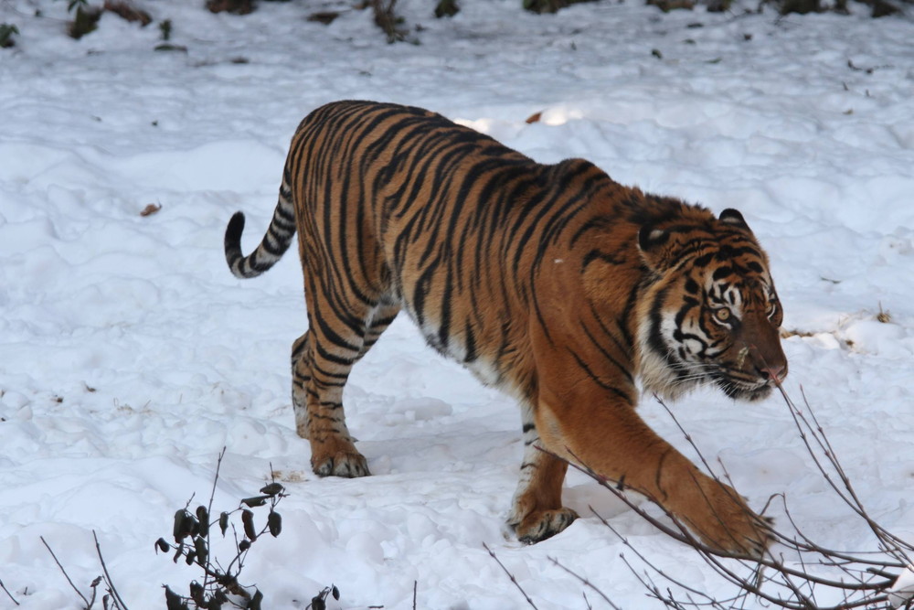 IMG_7393 - コピー.jpg