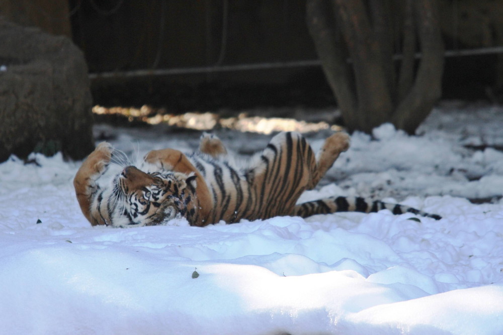 IMG_7188 - コピー.jpg