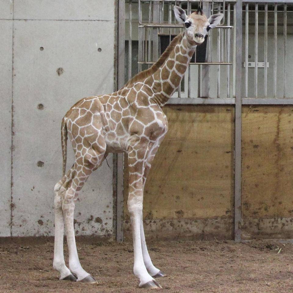 9月24日生まれ ①.jpg