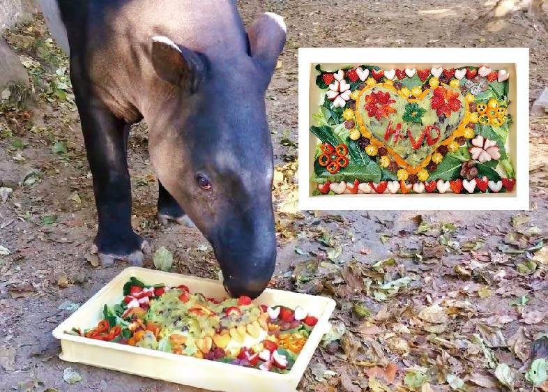 バク2_アートボード 1.jpg