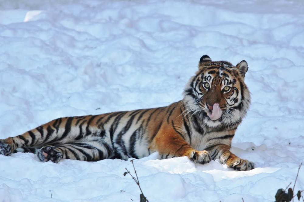 IMG_7206 - コピー.jpg