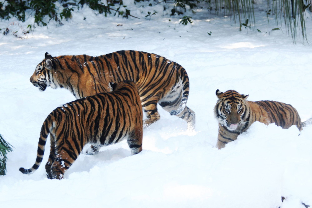 IMG_6906 - コピー.jpg