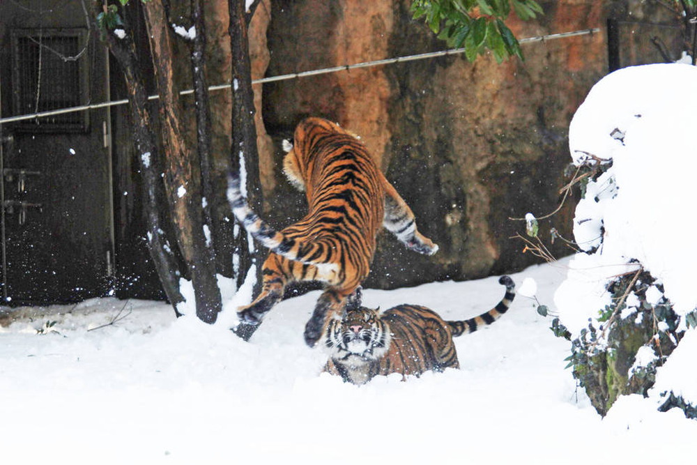 IMG_6740 - コピー.jpg