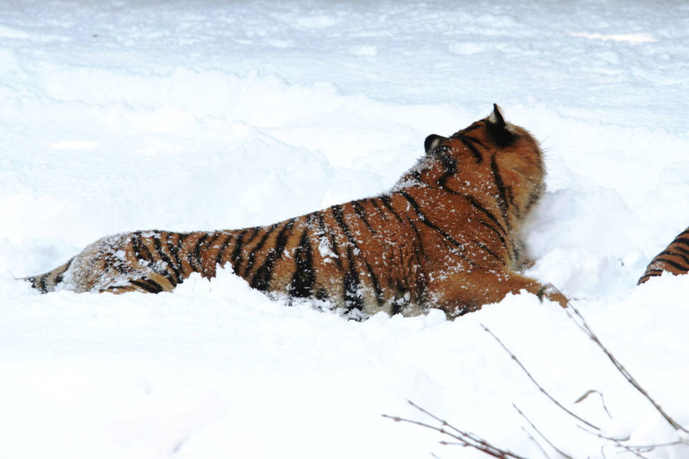 IMG_6669 - コピー.jpg