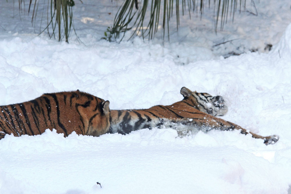 IMG_6841 - コピー.jpg