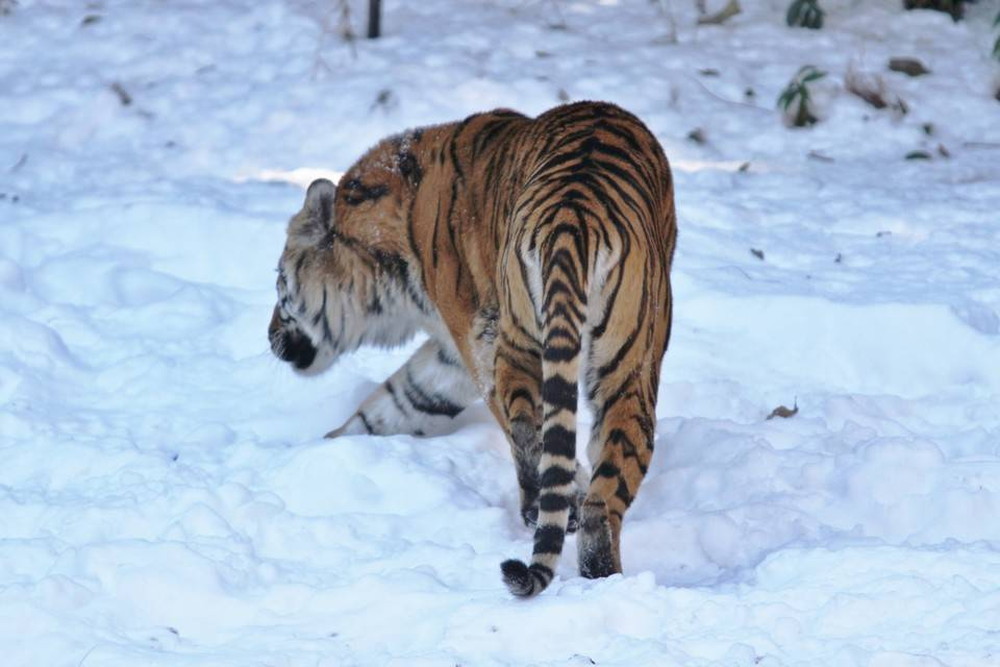 IMG_7212 - コピー.jpg