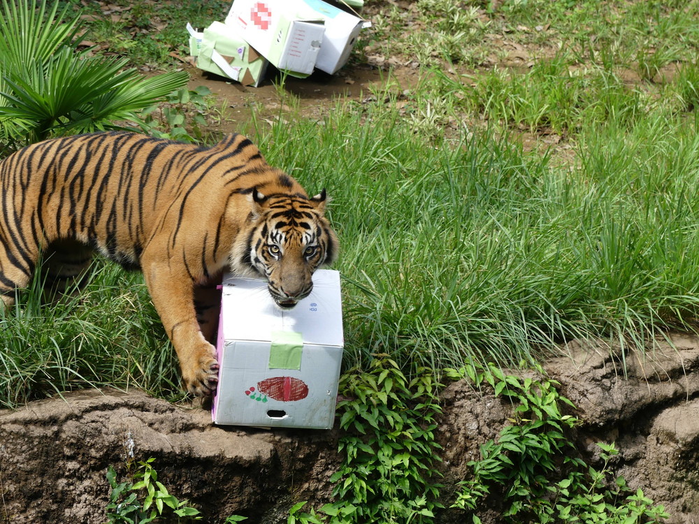 P1170504 - コピー.jpg