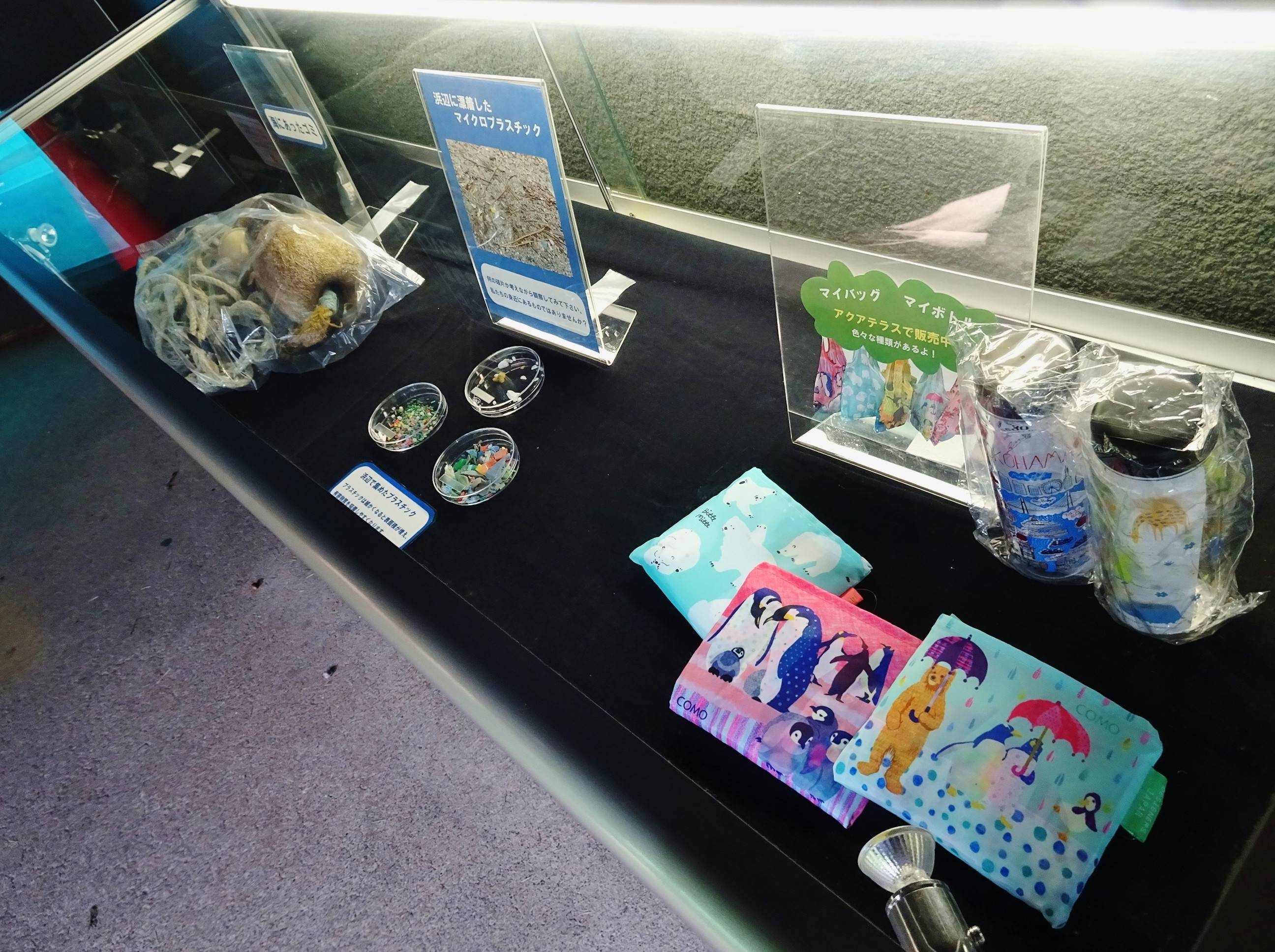 海のいきものSOS展 (7).jpg
