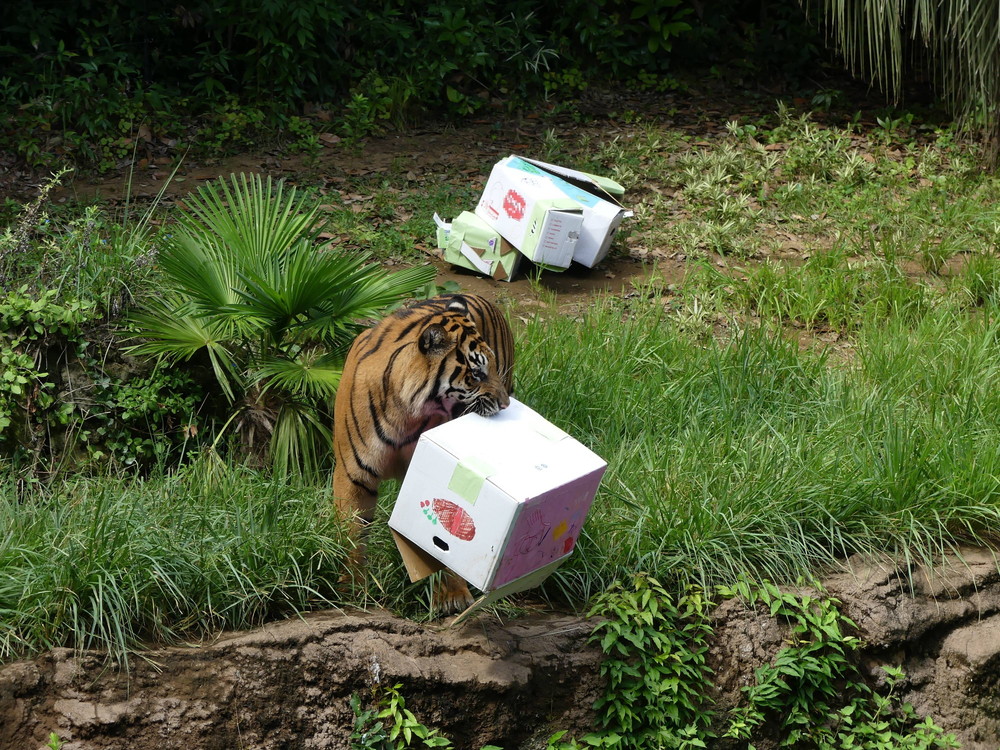 P1170502 - コピー.jpg