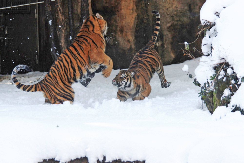 IMG_6738 - コピー.jpg