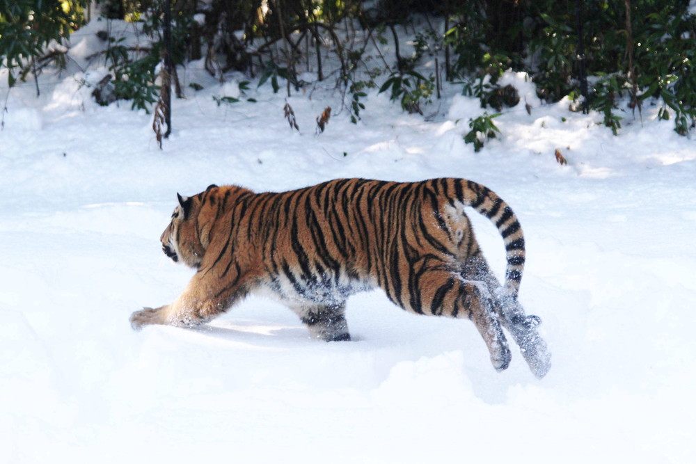 IMG_6633 - コピー.jpg