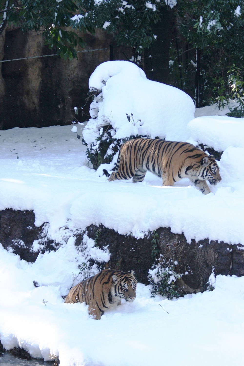 IMG_6543 - コピー.jpg