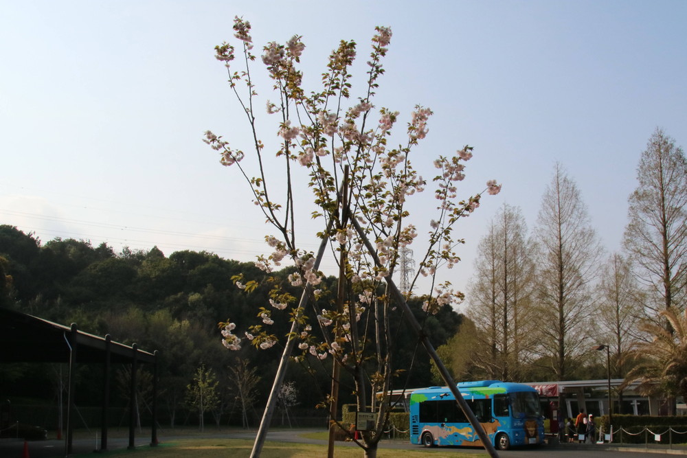 IMG_4180 - コピー.jpg