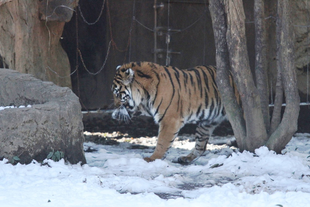 IMG_7163 - コピー.jpg