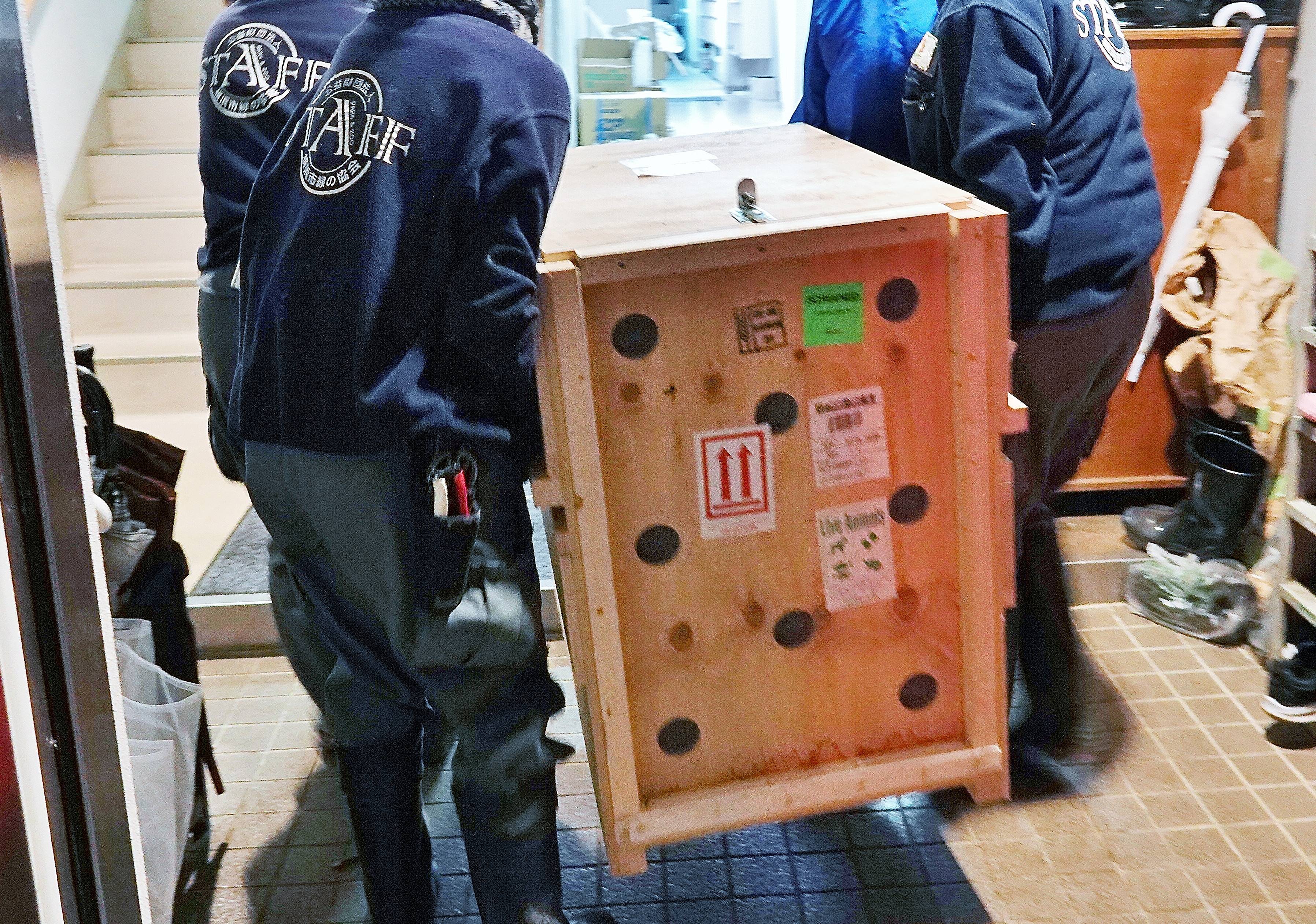 ジャヤメイ搬入.jpg