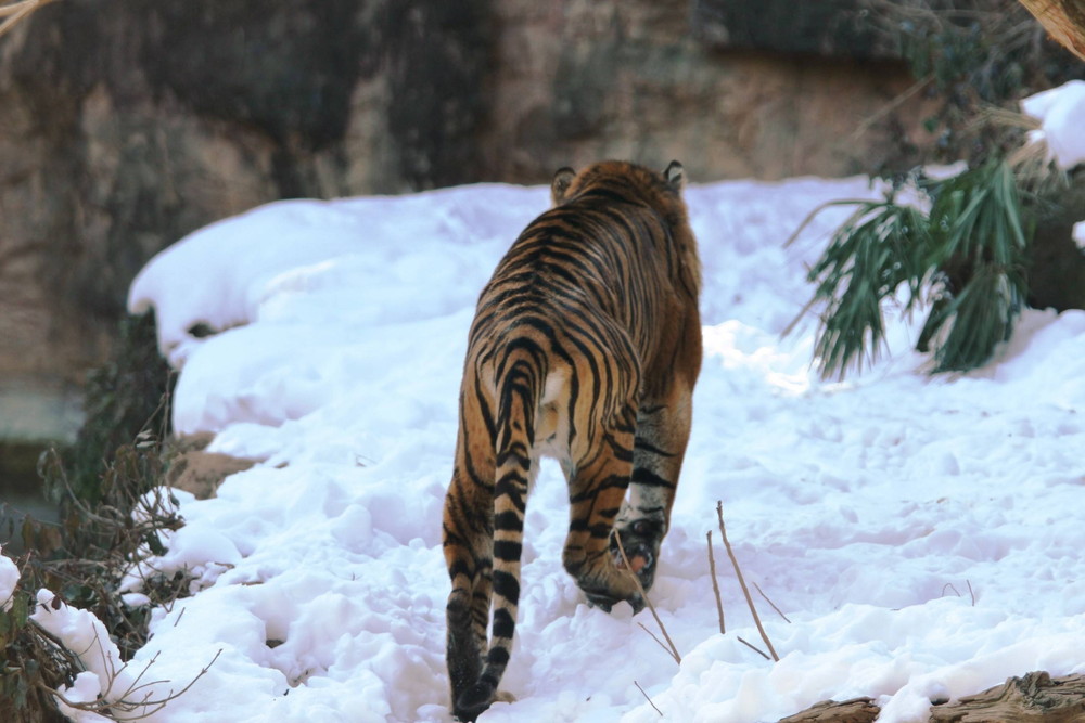 IMG_7400 - コピー.jpg