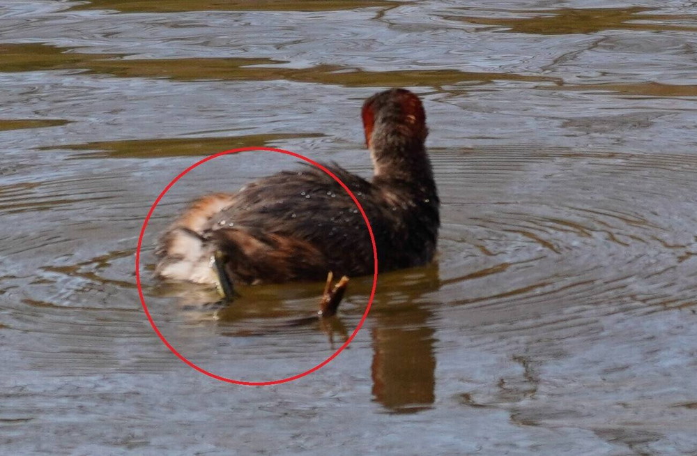 DSC08309 - コピー.jpg