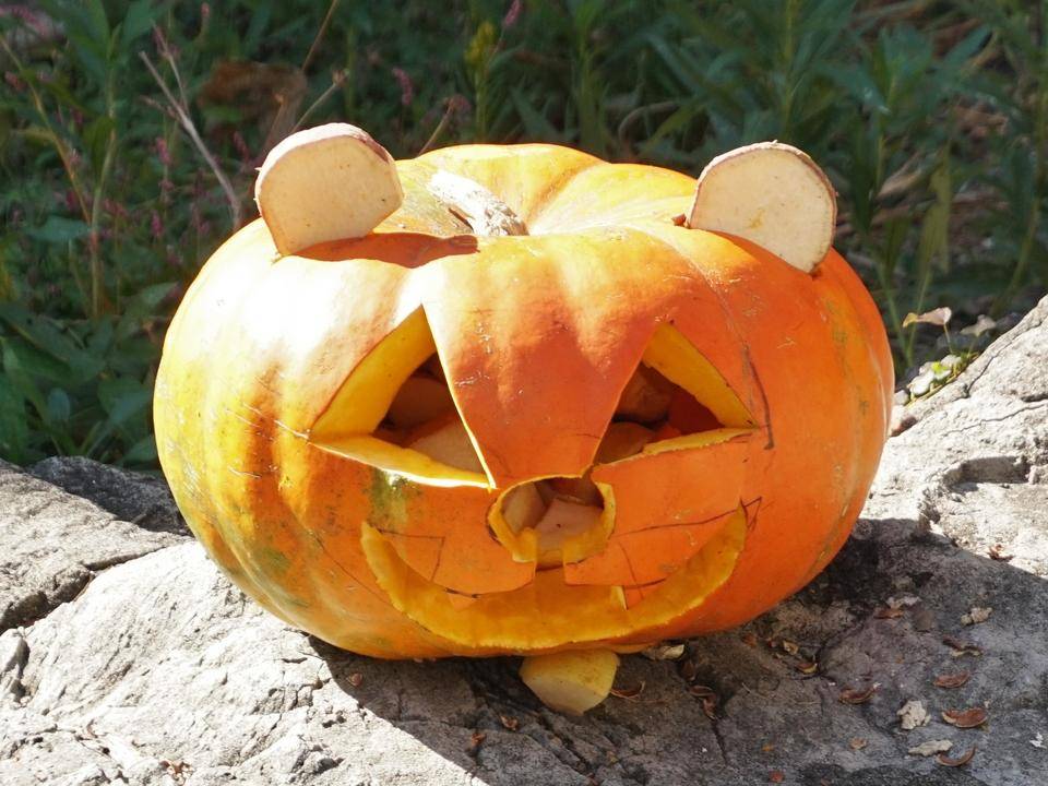 ハロウィン特別ガイド(メガネグマ) (1).jpg