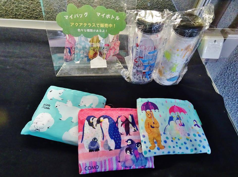 海のいきものSOS展 (8).jpg