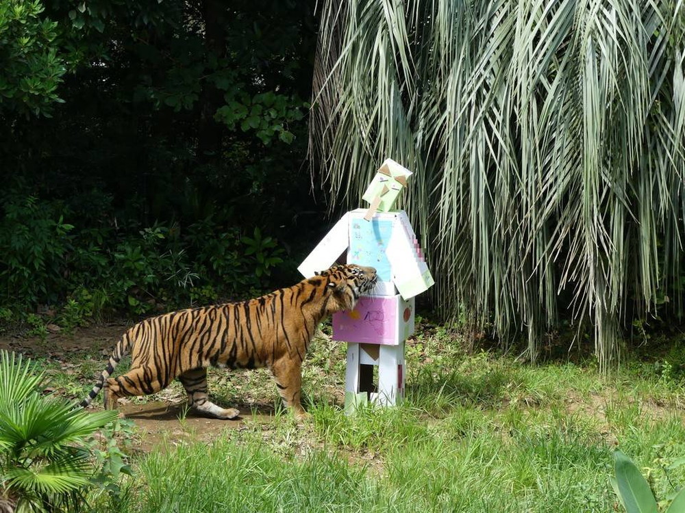 P1170488 - コピー.jpg