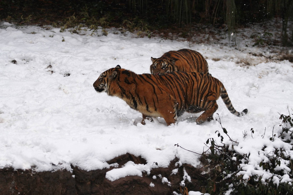 IMG_7573 - コピー.jpg