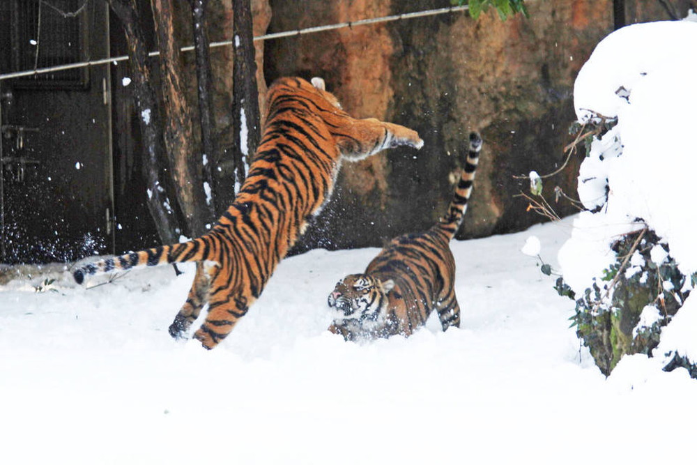 IMG_6739 - コピー.jpg