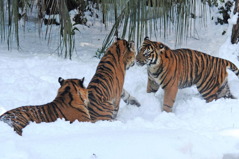 IMG_6856 - コピー.jpg