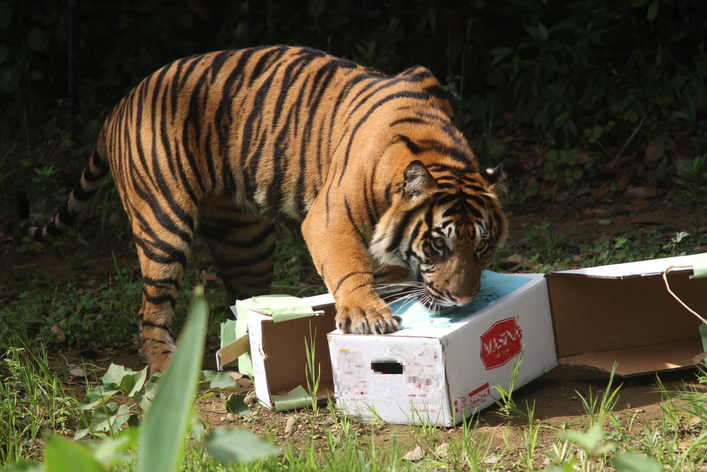 IMG_8078 - コピー.jpg