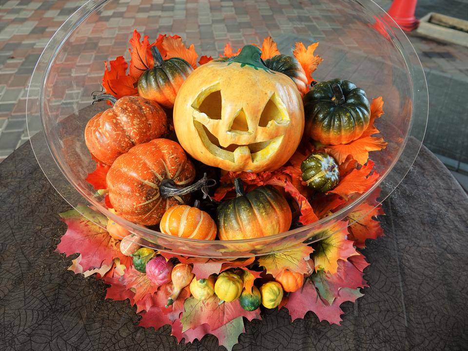 ズーラシアハロウィン イベント 講座 教室情報 よこはま動物園ズーラシア公式サイト 公益財団法人 横浜市緑の協会 ズーラシアハロウィン イベント 講座 教室情報 よこはま動物園ズーラシア公式サイト 公益財団法人 横浜市緑の協会