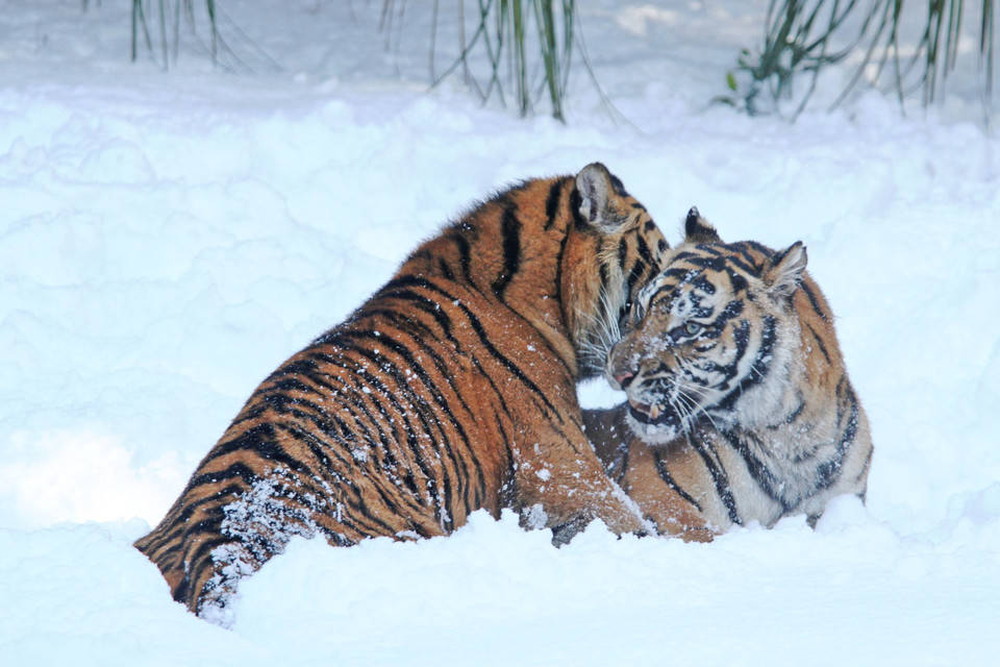 IMG_6838 - コピー.jpg