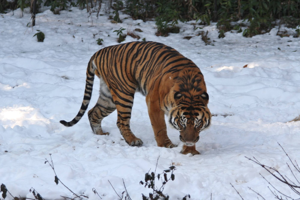 IMG_7392 - コピー.jpg