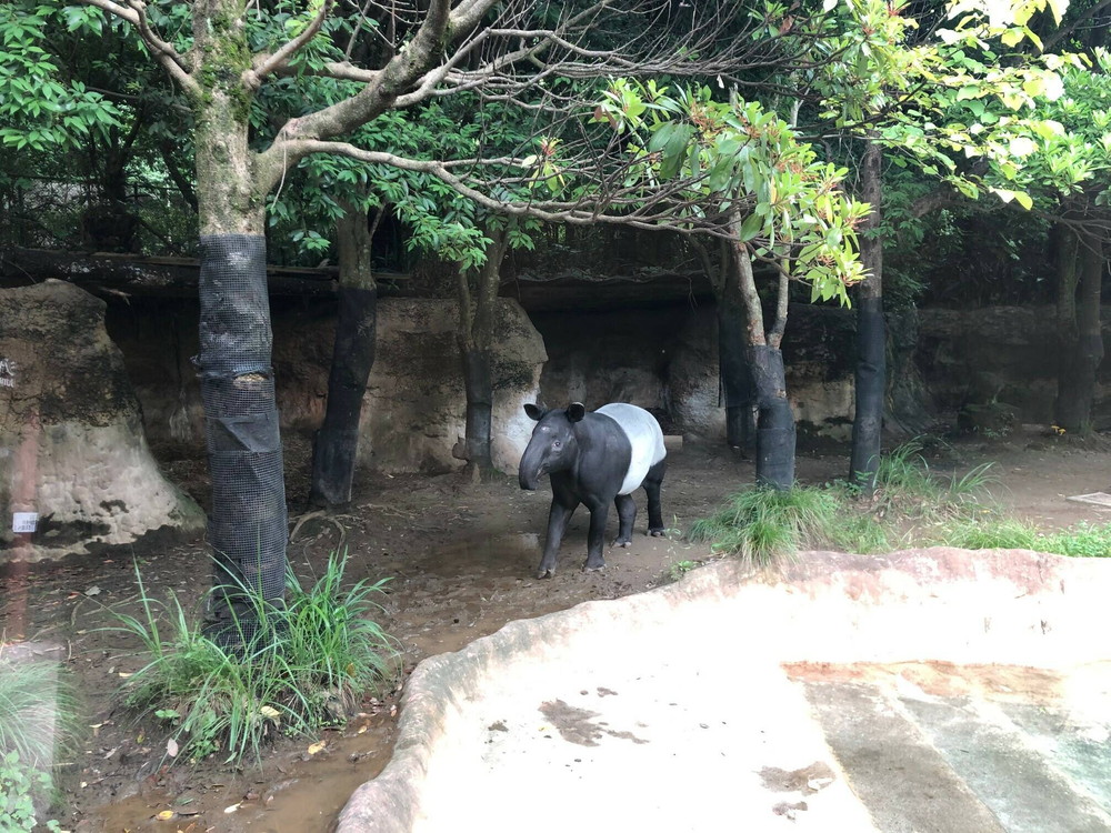 ダウンロード (1).jpg