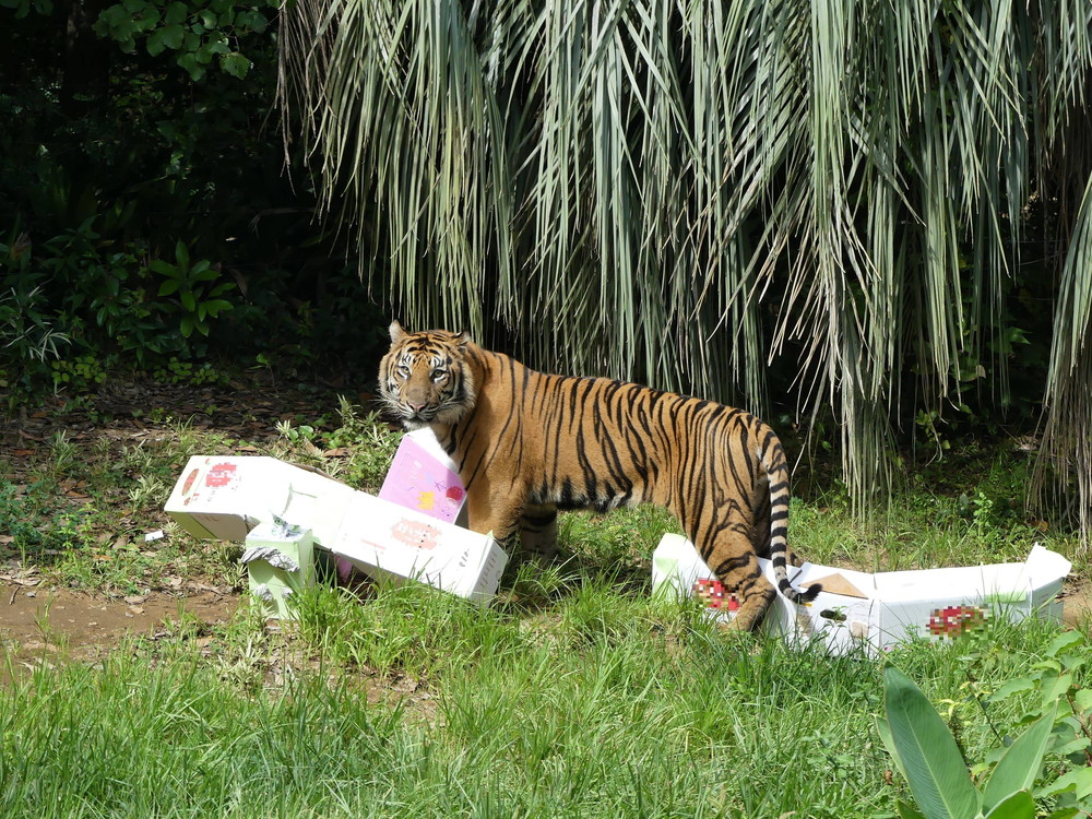 P1170492 - コピー.jpg