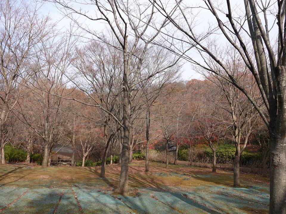 DSC00266.jpg