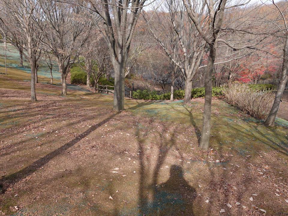 DSC00268.jpg