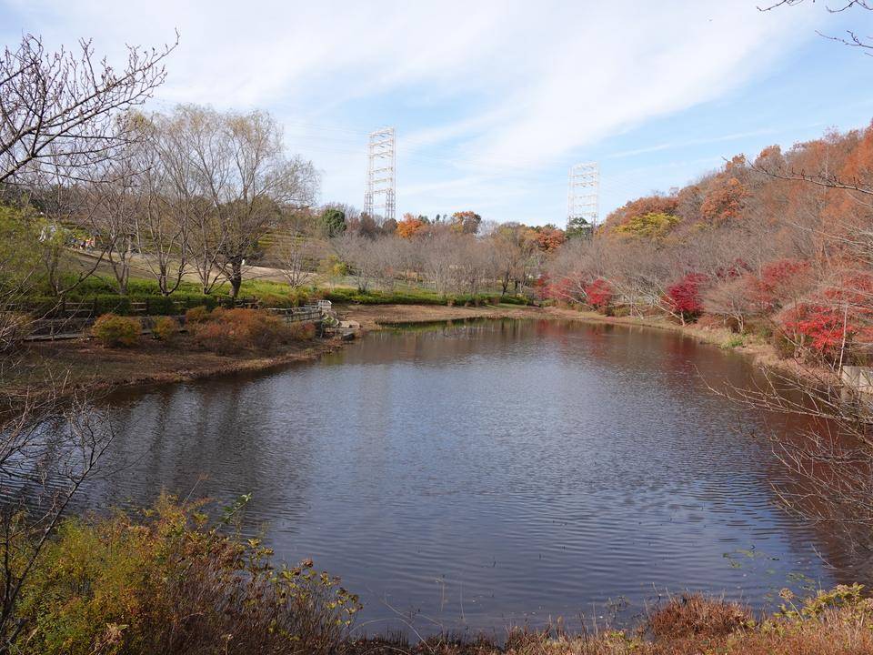 DSC00273.jpg