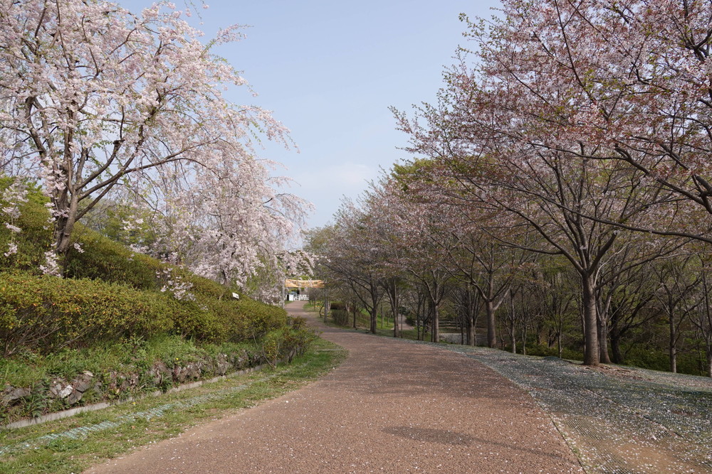 DSC00756.jpg