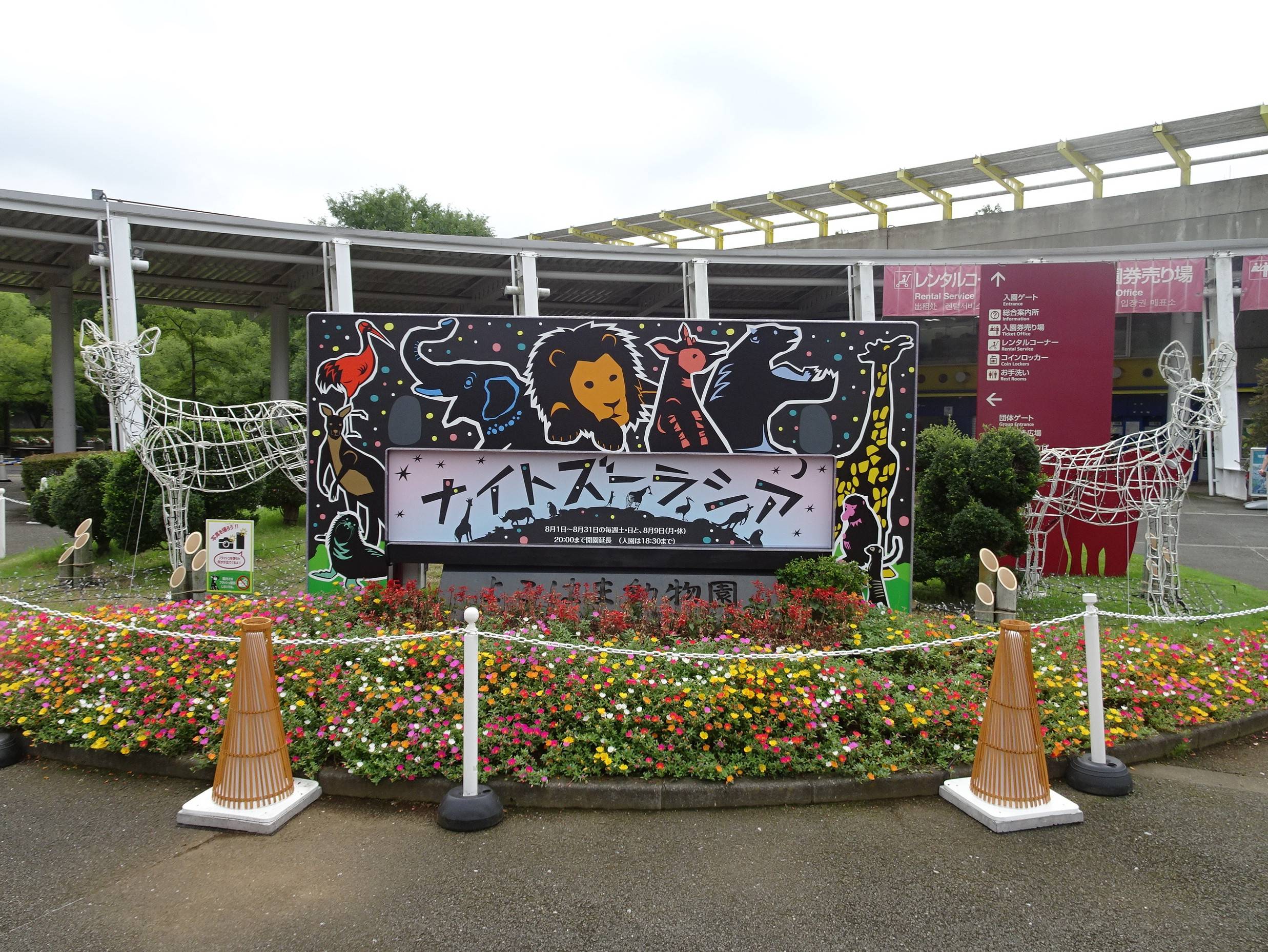 DSC01137.jpg