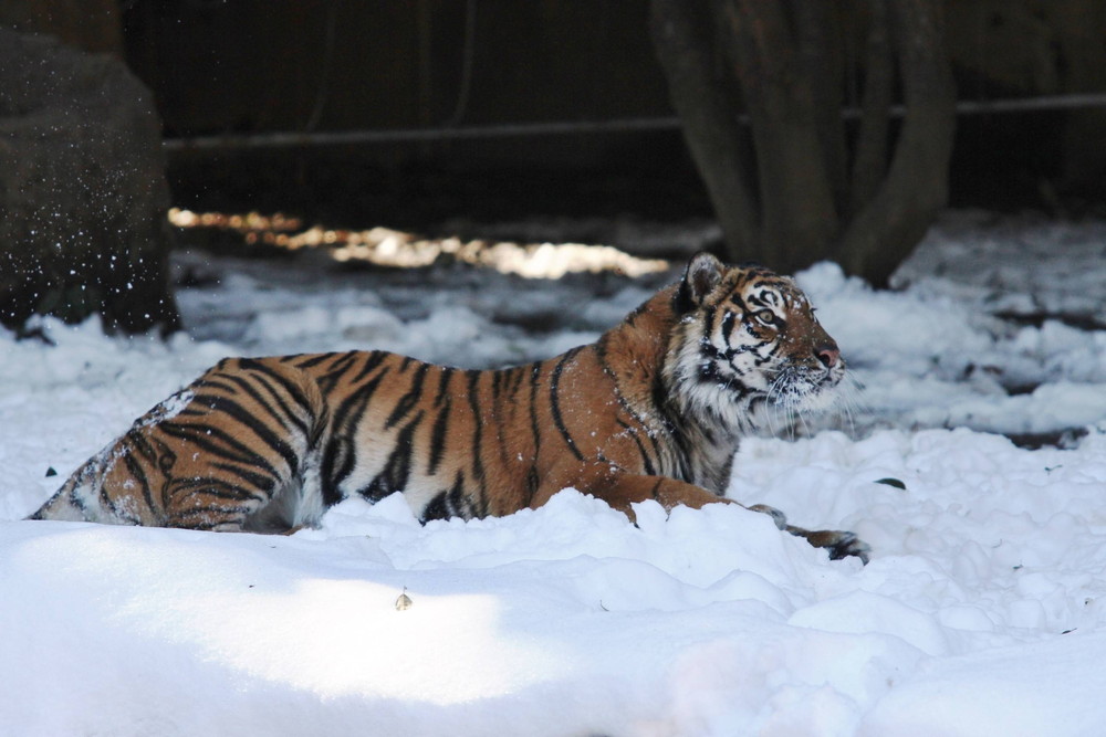 IMG_7242 - コピー.jpg