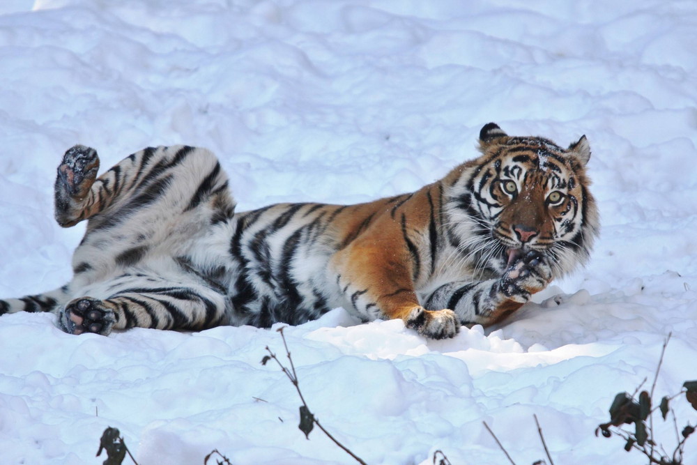 IMG_7207 - コピー.jpg