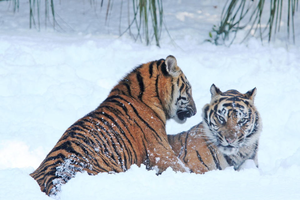 IMG_6839 - コピー.jpg