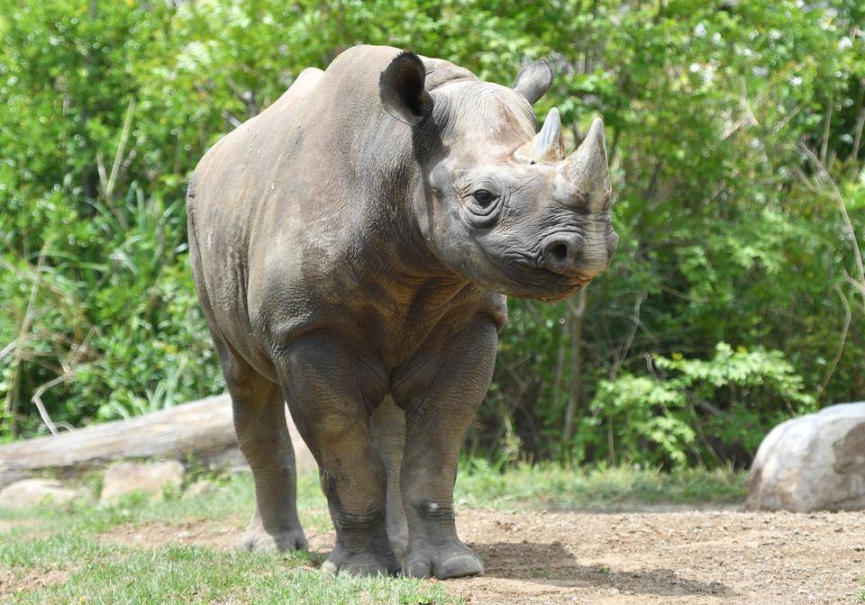 ☆アキリ (1).jpg