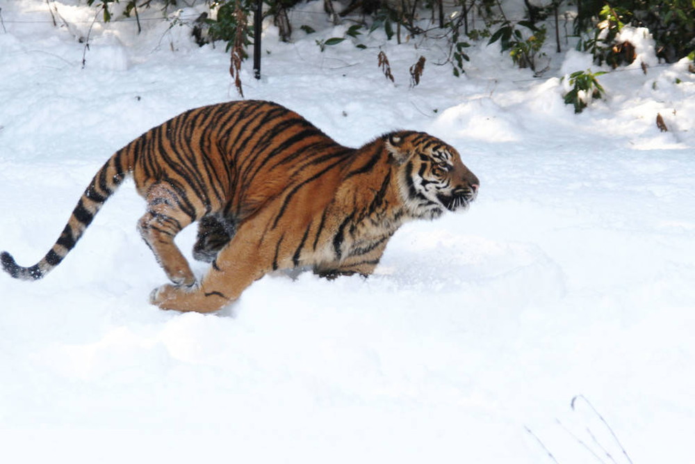 IMG_6720 - コピー.jpg