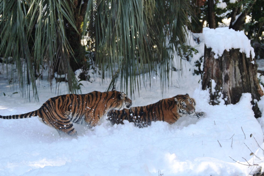 IMG_7035 - コピー.jpg