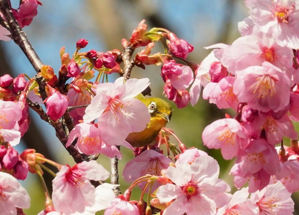 DSC01011 - コピー.jpg