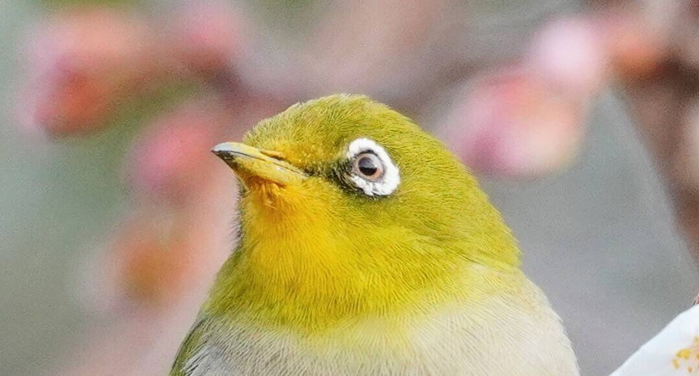 DSC08501 - コピー.jpg