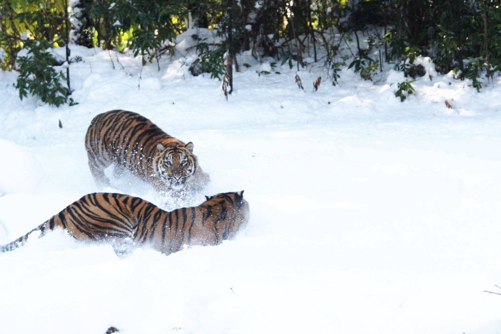 IMG_6640 - コピー.jpg